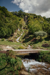 Scenic view of stream by trees against sky