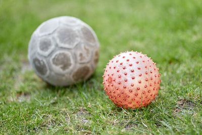 Close-up of ball on field