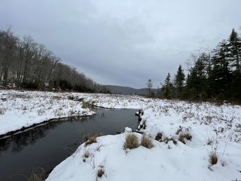 Scenic view of snow covered trees against sky