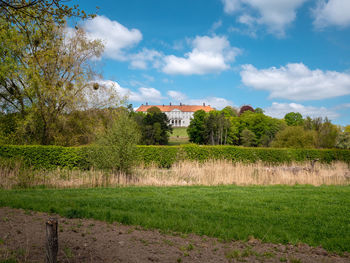 Trees and plants on field against sky