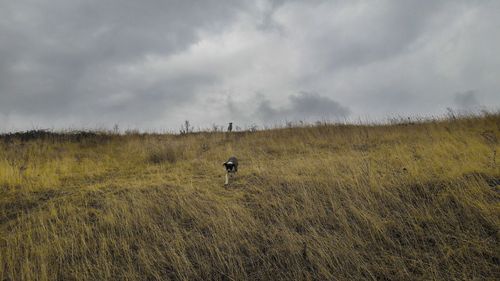 Man on field against sky