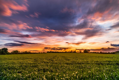 Scenic view of grassy landscape against cloudy sky during sunset