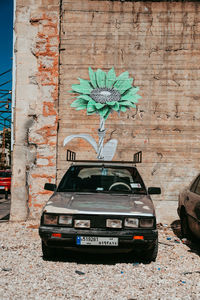 Cars on street by wall