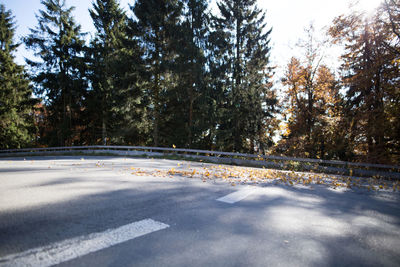 Road amidst trees