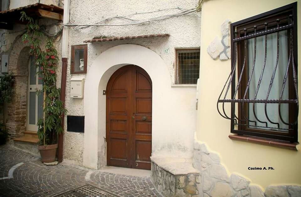 architecture, built structure, building exterior, window, door, entrance, arch, house, building, residential structure, residential building, closed, facade, sunlight, day, no people, potted plant, glass - material, outdoors, doorway