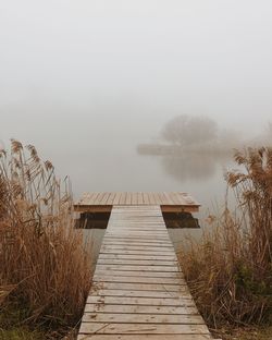 Foggy day at the lake 