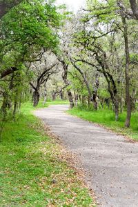 Road amidst trees on landscape