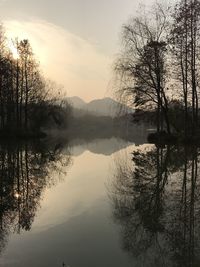 Reflection of trees in lake