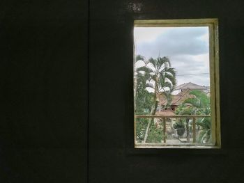 Close-up of flowering plants seen through window