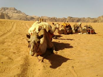 View of desert