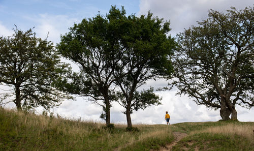 Boy standing by trees against sky