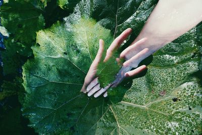 Midsection of woman touching plant