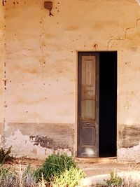 House against plants