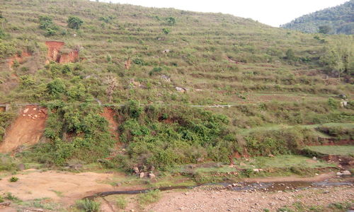 Scenic view of grassy field