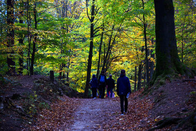 Rear view of men walking on footpath in forest