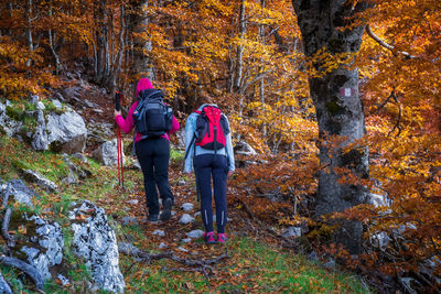 Rear view of man walking in forest