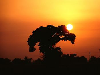 Silhouette tree against sky during sunset