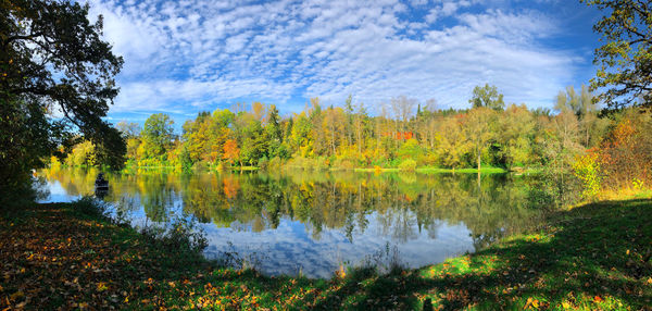 Scenic view of lake in forest against sky