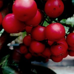 Close-up of strawberries