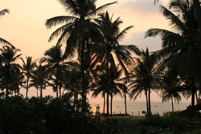 Palm trees against calm sea at sunset