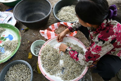 High angle view of woman preparing food or anchovy on bucket
