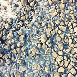 High angle view of stones in frozen lake