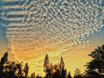 Low angle view of silhouette trees against sky during sunset