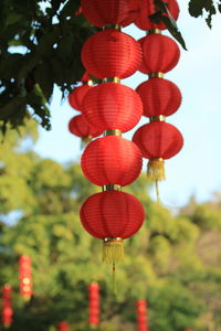 Low angle view of yellow flowering plant against sky