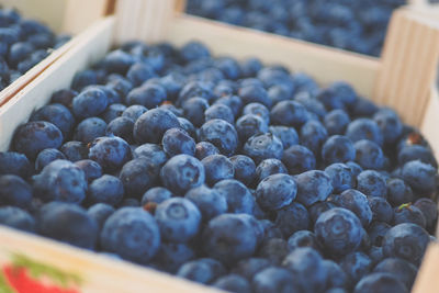 High angle view of blackberries in container on table