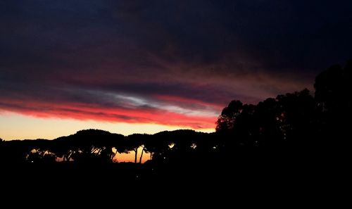 Silhouette of trees against dramatic sky