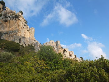 Low angle view of rocks and trees against sky