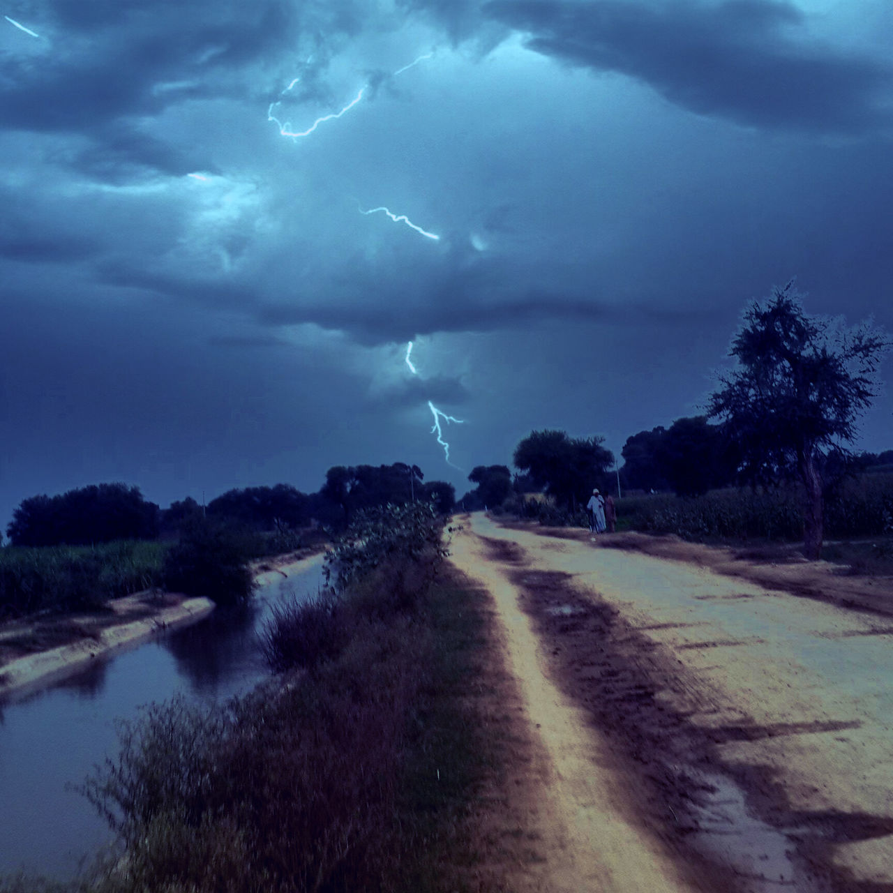 sky, cloud - sky, cloudy, storm cloud, the way forward, weather, tree, tranquility, road, tranquil scene, dramatic sky, scenics, beauty in nature, nature, cloud, overcast, landscape, dusk, atmospheric mood, diminishing perspective