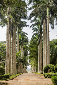 A public botanical garden in eastern region of ghana.