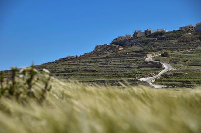 Surface level of land against clear blue sky