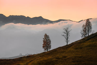 Scenic view of mountains and trees with fog against sky during sunrise in a misty morning