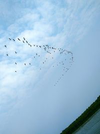 Low angle view of birds flying in sky