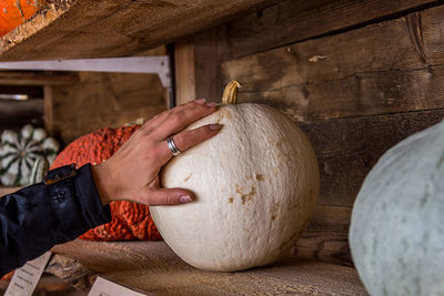 Human hand touching pumpkin