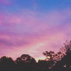 Low angle view of trees against sky