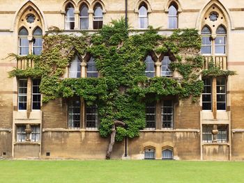 Building with lawn in foreground