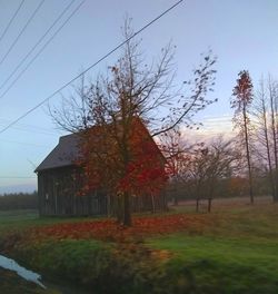 Trees and houses on field against sky