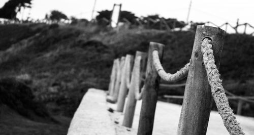 Close-up of architectural column on wood