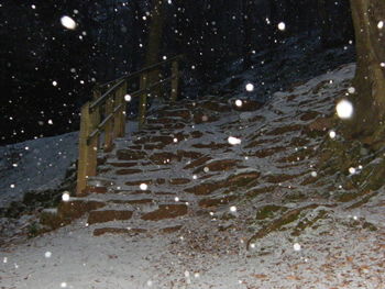 View of snow covered landscape