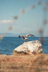 Rocks on beach against sky