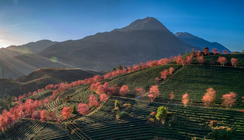 Scenic view of mountains against sky