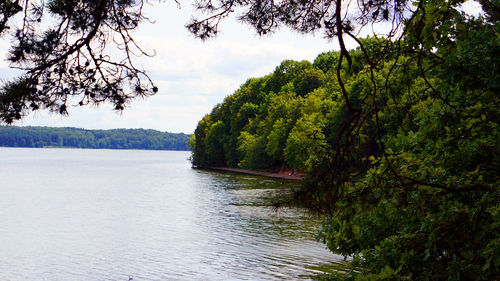 Scenic view of river amidst trees against sky