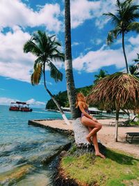 Scenic view of palm trees on beach against sky