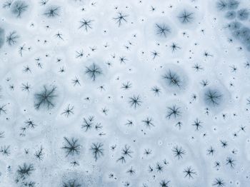 High angle view of people on snow