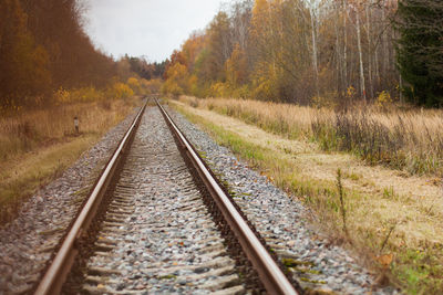 Railroad tracks amidst trees during autumn