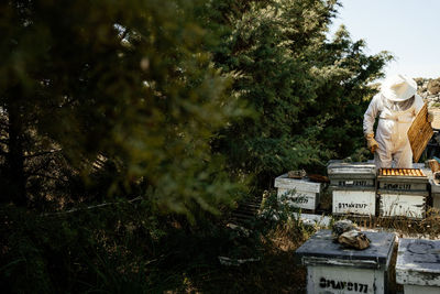 Unrecognizable beekeeper in protective wear inspecting wooden beehives while working with bees in summer day in apiary