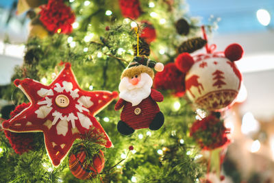 Close-up of christmas decorations hanging on tree